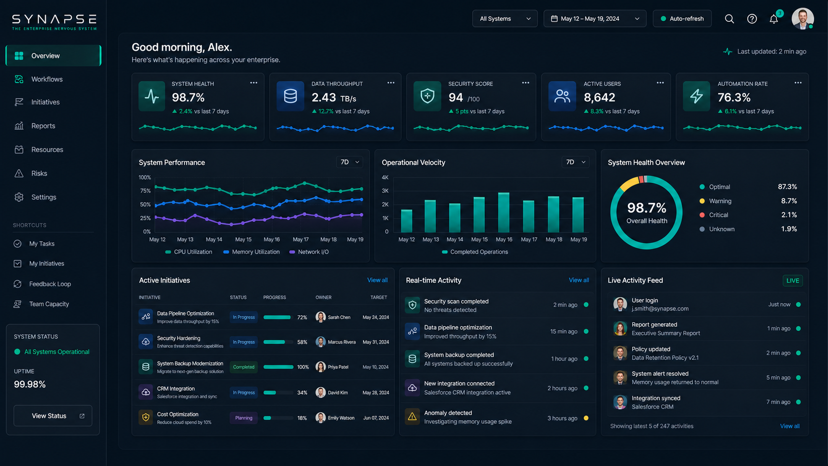 Synapse Overview screen